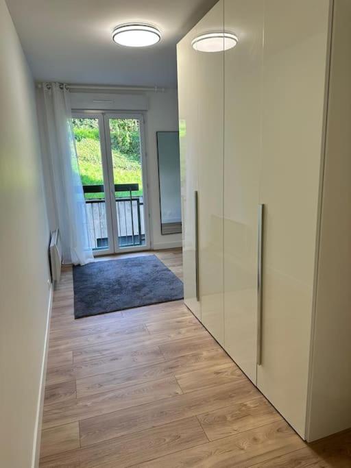 Spacieux De 73 M2 En Plein Centre-ville D'evian Avec 2 Apartment